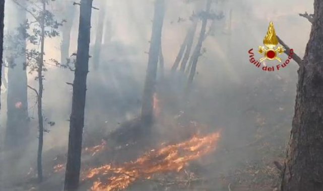 İtalya'nın kuzeyinde orman yangını