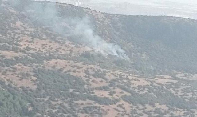 İzmir'de 2 farklı noktada çıkan orman yangını kontrol altına alındı