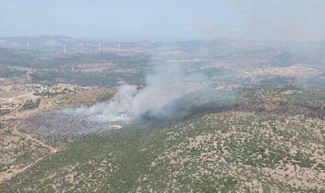 İzmir'de makilik yangını