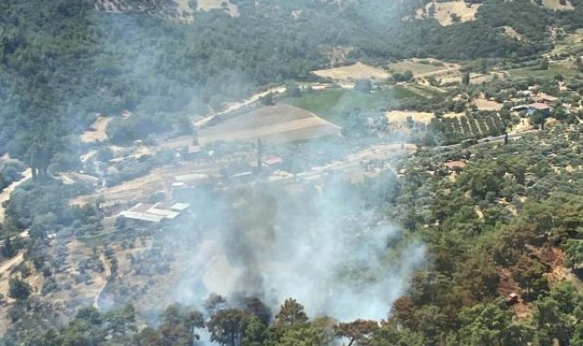 İzmir'de orman yangını, 1 saatte kontrol altına alındı