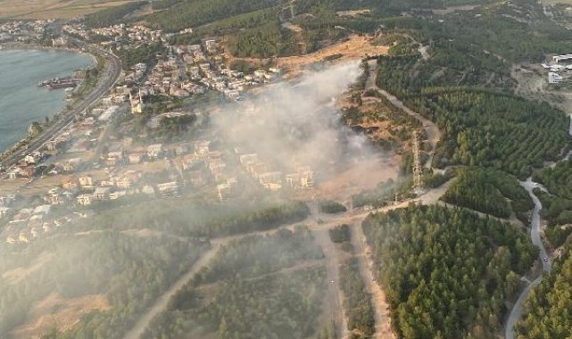 İzmir'de orman yangını