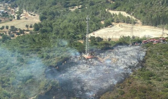 İzmir'de orman yangını