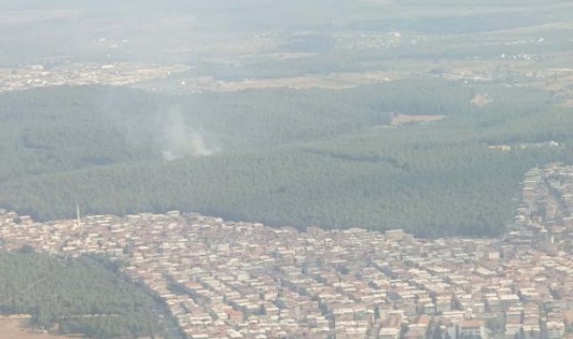 İzmir'de orman yangını