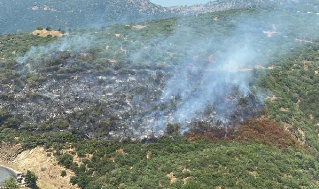 İzmir'de otomobilde çıkan yangın ormana sıçradı
