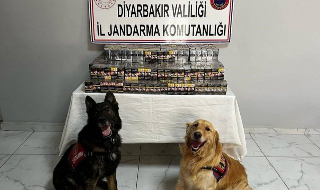 Jandarma ekipleri kaçakçılara geçit vermiyor