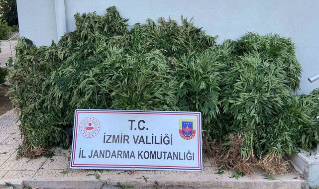 Jandarmadan uyuşturucu tacirlerine geçit yok