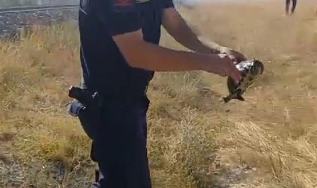 Jandarmanın hayvan sevgisi görenlerin içini ısıttı