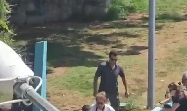 Kadıköy'de tasmasız köpek dehşeti