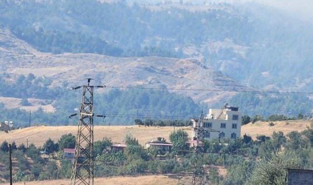 Kahramanmaraş'ta orman yangını