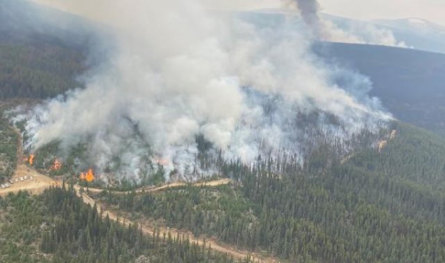 Kanada'nın Batı Kelowna bölgesinde 50 yapı yangında yıkıldı