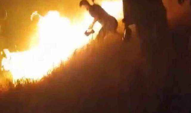 Karacadağ Bal Ormanı'nda çıkan yangın kontrol altına alındı