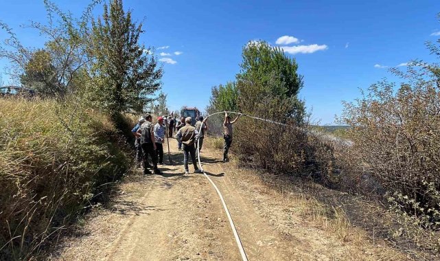 Kastamonu'daki orman yangını büyümeden söndürüldü