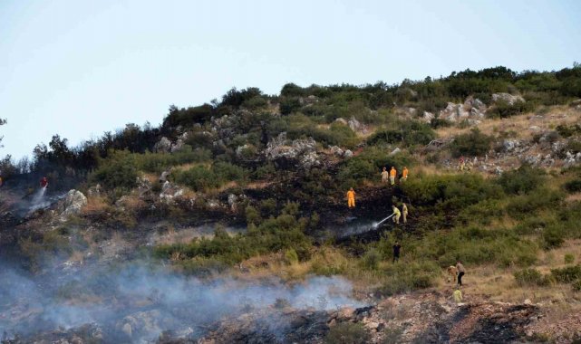 Kırkağaç'ta korkutan orman yangını