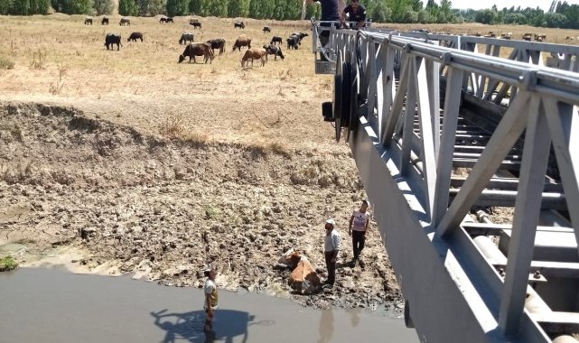 Kütahya'da bataklığa saplanan ineği itfaiye kurtardı