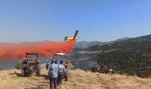 Manisa'da orman yangını büyümeden söndürüldü