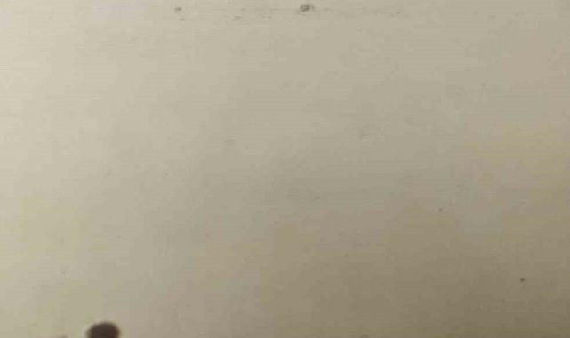 Mardin'de toz taşınımı hayatı olumsuz etkiledi