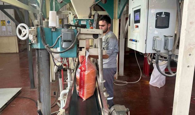 Mercimek Güneydoğu'nun ekonomisine katkı sunuyor
