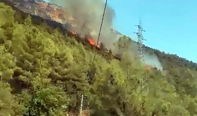 Mersin'de orman yangını