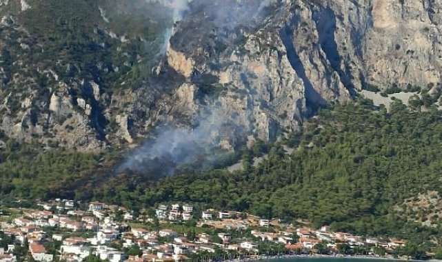 Milas'ta orman yangını
