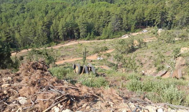 Muğla'da orman kesim alanında iş kazası: 1 ölü