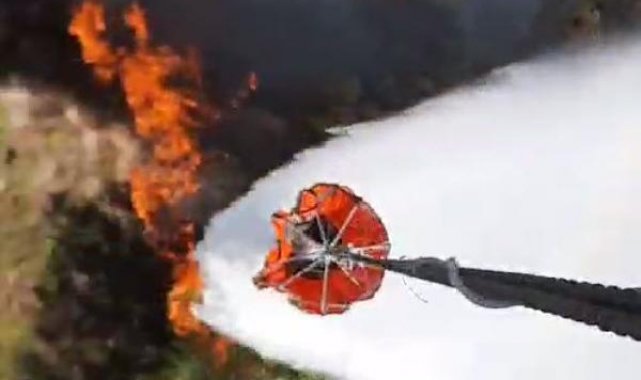Muğla'da orman yangını