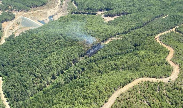 Muğla'daki orman yangını kontrol altına alındı
