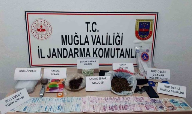 Muğla'nın 7 ilçesinde uyuşturucu operasyonu
