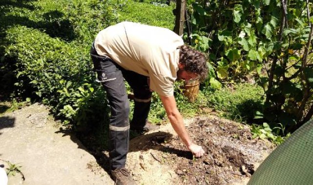 Mutfak atıklarından ürettiği kompost gübre ile yüzde 20 verim sağladı