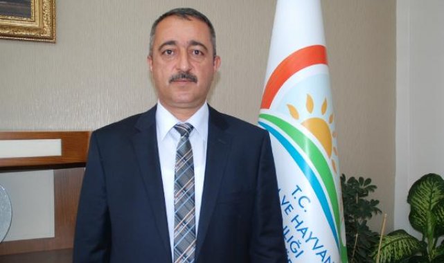 Niğde elması 15 ülkeye ihraç ediliyor