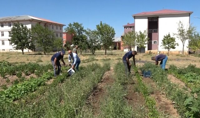 Öğrenciler, atıl durumdaki alanı tarıma kazandırdı