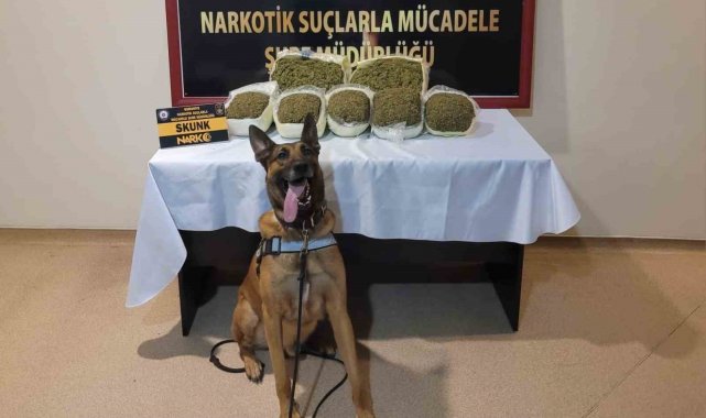 Osmaniye'de uyuşturucu ile mücadele: 47 gözaltı