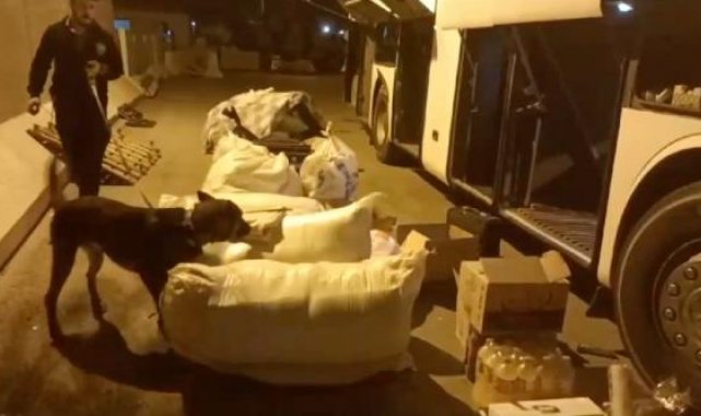 Otobüsün ikram dolabına gizlenen eroini 'Odin' buldu