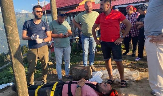 Salıncakla ineğe çarpan turizmci yaralandı