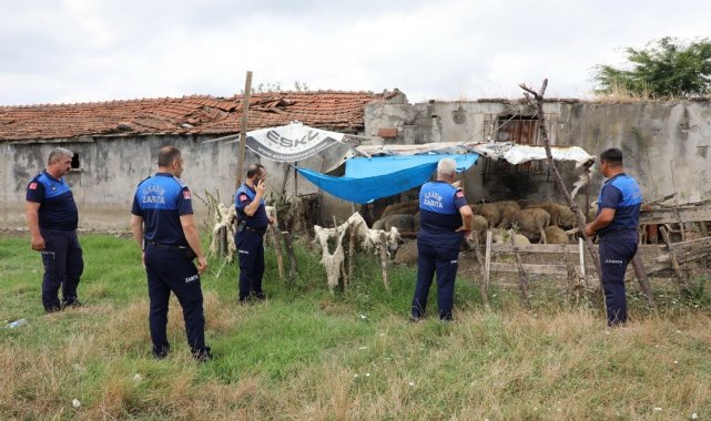 Samsun'da uyarı yapılan 12 ahırın faaliyetine son