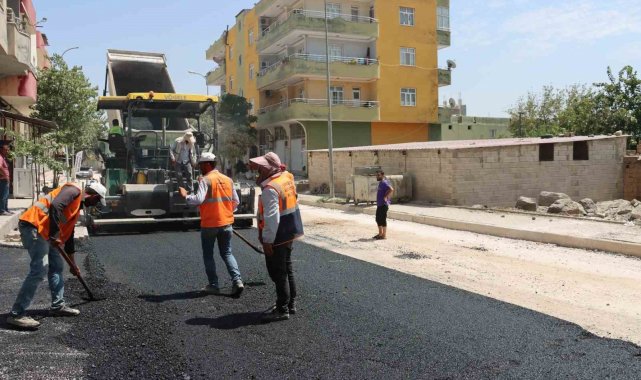 Şanlıurfa Büyükşehir'den Viranşehir'de asfalt atağı