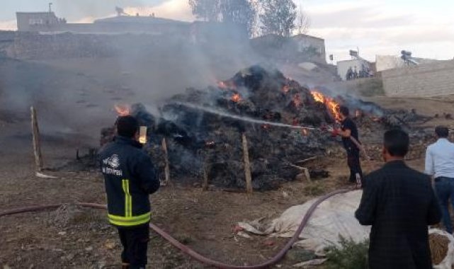 Saray'da 8 bin bağ ot yandı