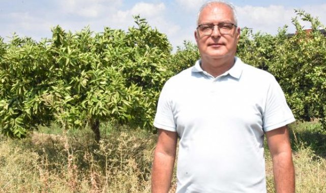 Sıcak hava dalgası yaz meyvelerini de vurdu; ürünlerde 'güneş yanığı' oluştu