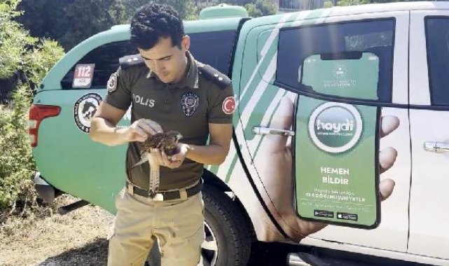 Sıcakta bitkin düşen kerkenez kuşuna polisten müdahale