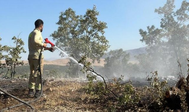 Siirt'te orman yangını, 17 saatte kontrol altına alındı