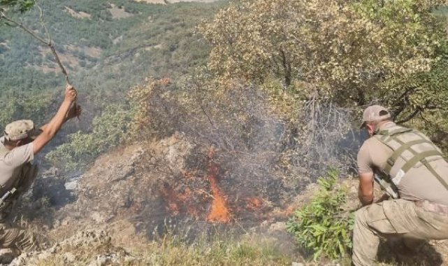 Siirt'te orman yangını 52 saatte söndürüldü