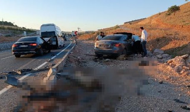 Siirt'te otomobil küçükbaş sürücüne daldı: 2 yaralı, 4 koyun öldü