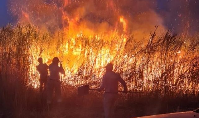 Siirt'te sazlıkta çıkan yangın, tarım arazilerine sıçramadan söndürüldü