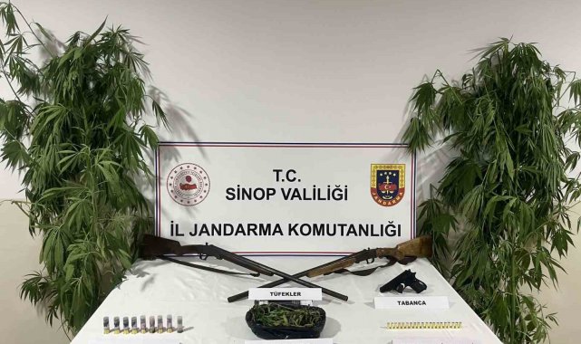 Sinop'ta jandarmadan uyuşturucu operasyonu: 1 gözaltı