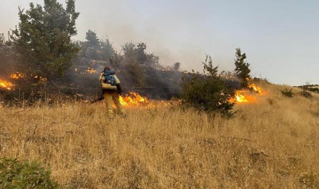 Şırnak'ta çıkan örtü yangını kontrol altına alındı