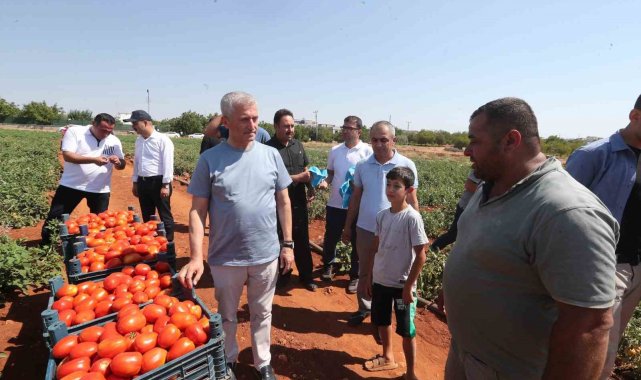 Tahmazoğlu, çiftçilerle tarlada domates ve biber topladı