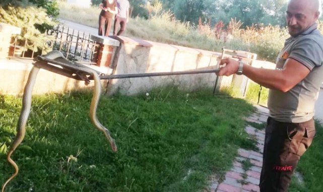 Tavşanlı'da araç motoruna giren yılan, itfaiye erleri tarafından çıkartıldı