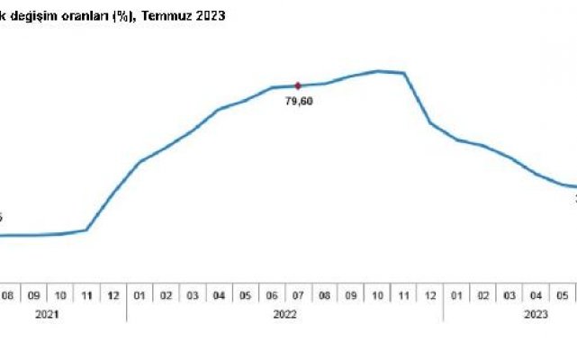 TÜİK, temmuz ayı enflasyon oranlarını açıkladı