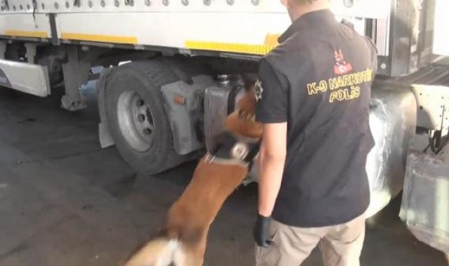 Tuzla'da narkotik operasyonu: 5 kişi gözaltına alındı