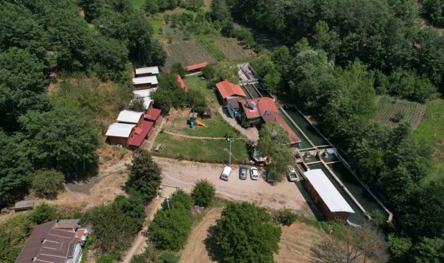 Uludağ'ın kar sularında yetiştirilen alabalık yaz aylarında rağbet görüyor