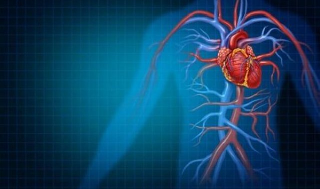 Uzmanı uyardı: Ereksiyon uzunluğu ve sıklığı kalp sağlığını etkiliyor